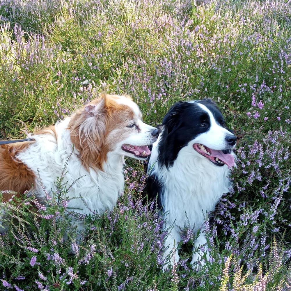 Rex met Mia