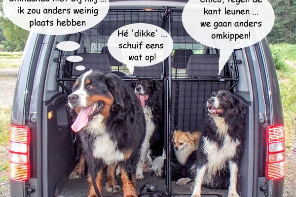 Donza (rechts) ging regelmatig op stap met haar vriendjes