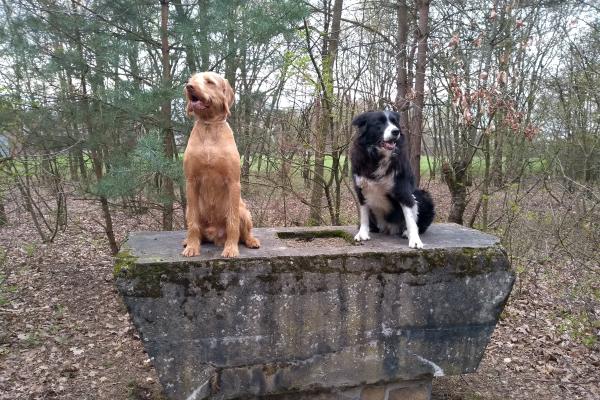 Zappa en Donza op de Melberg (Genk)