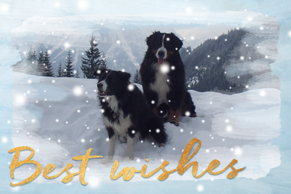 Donza en Oscar op wintervakantie